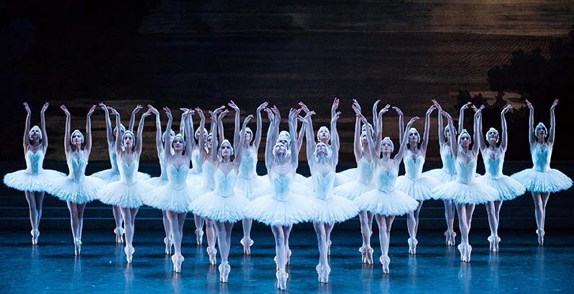 swan lake paris opera ballet swan lake paris opera ballet