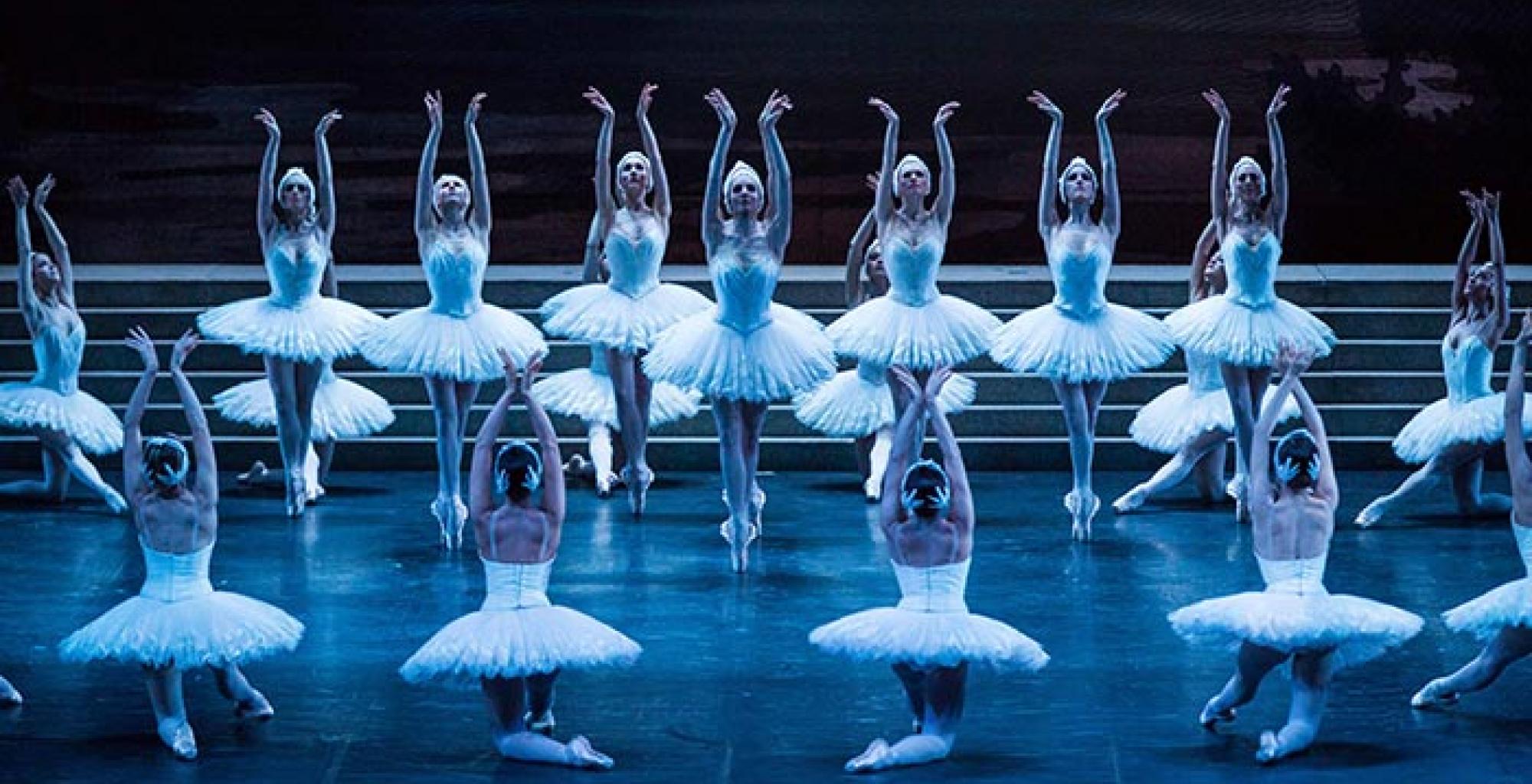 paris opera ballet swan lake