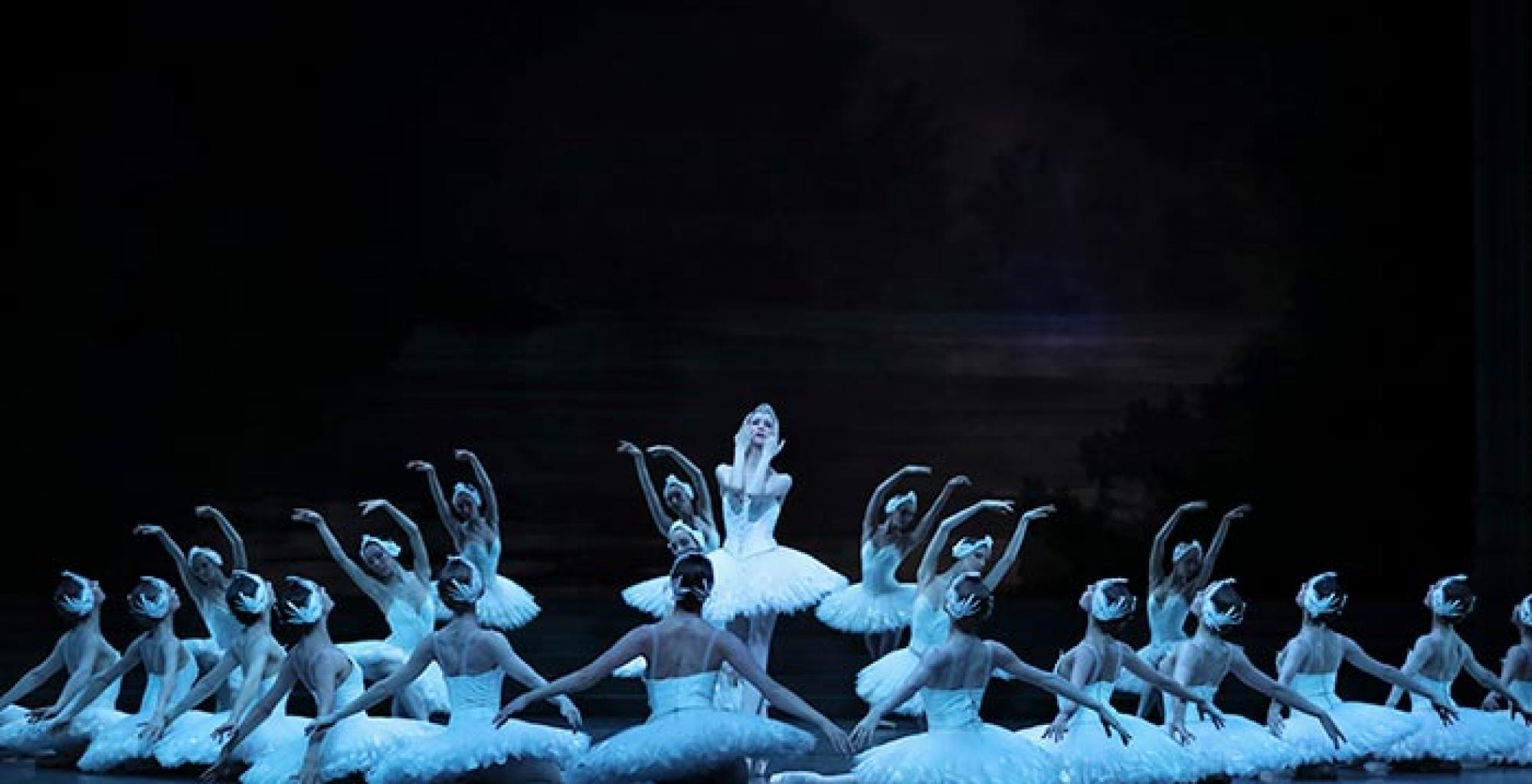 swan lake paris opera ballet