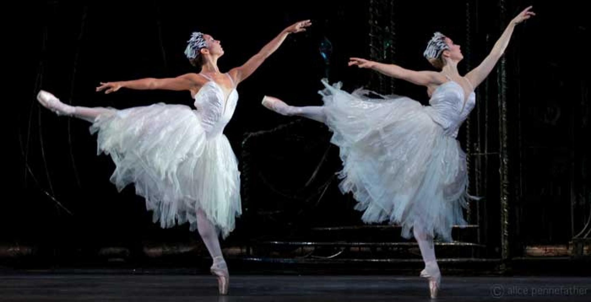 paris opera ballet swan lake