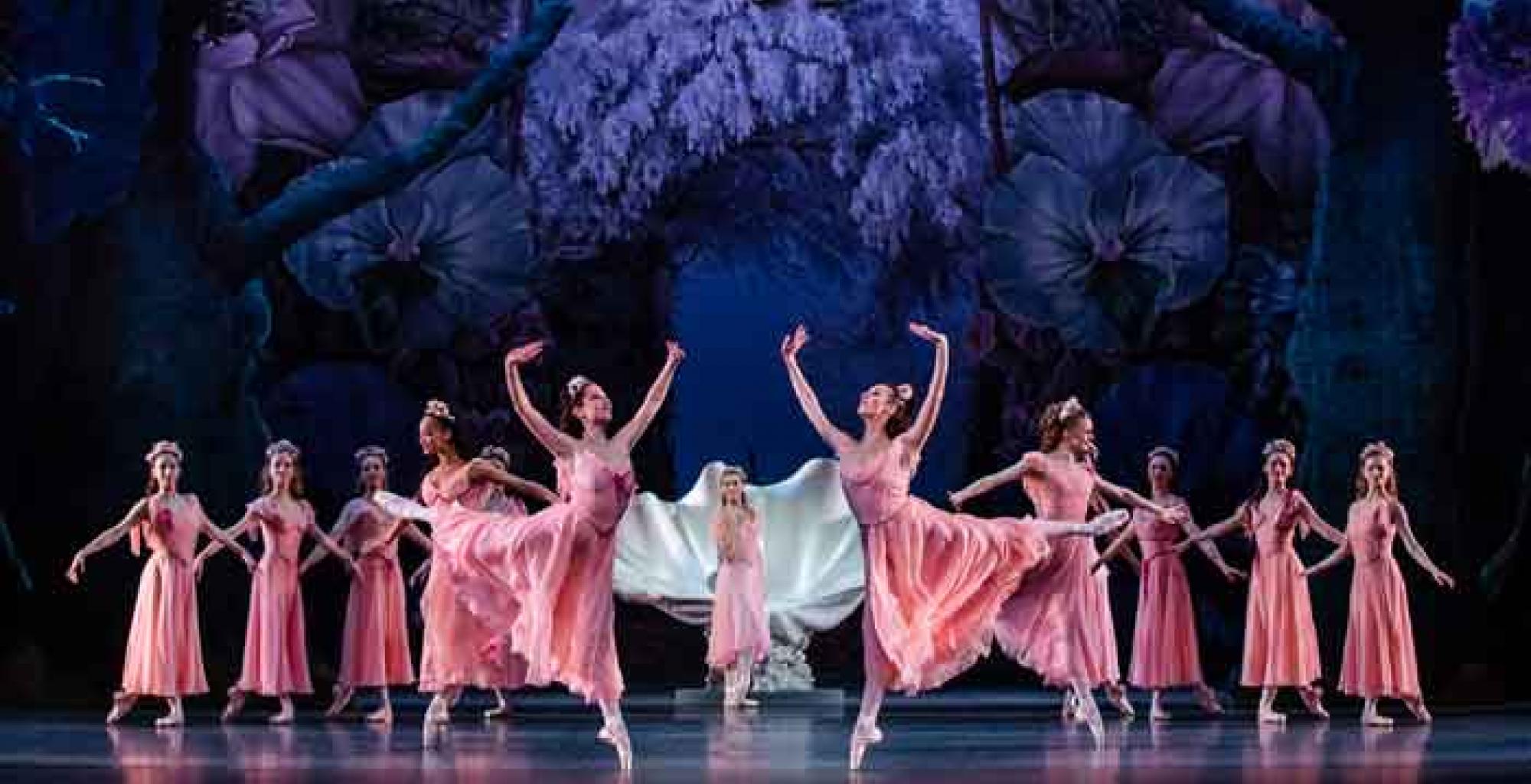 A Midsummer Night's Dream | Palace Opera & Ballet 2019/20 Season